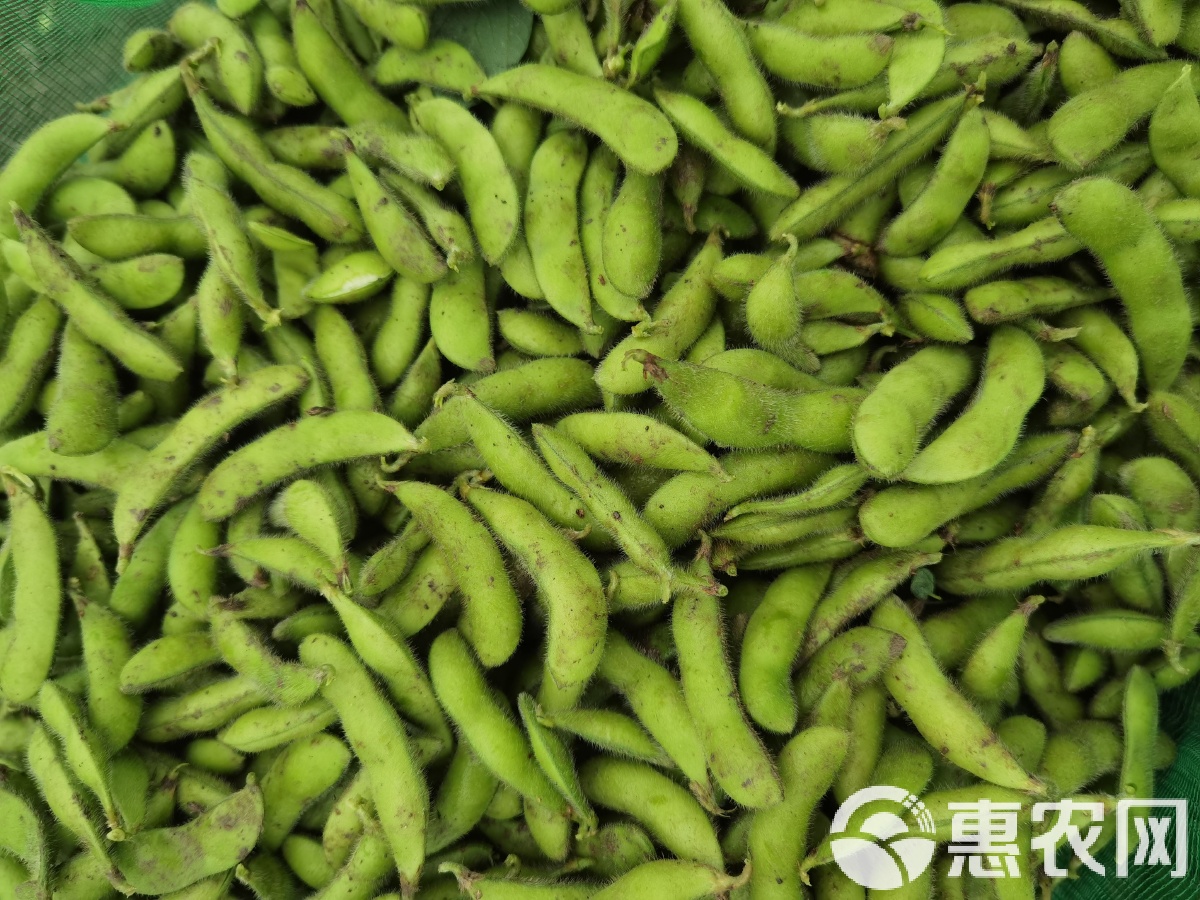 第533页